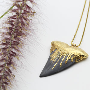 Gold dip Megalodon Shark's Tooth