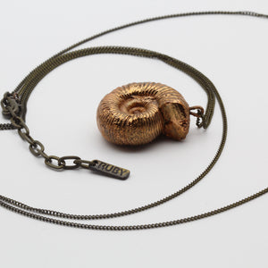 Ammonite Amulet