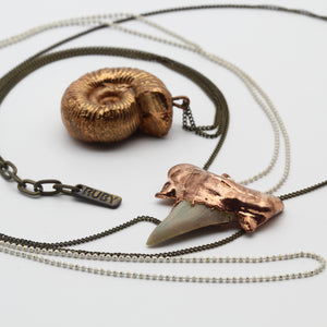 Ammonite Amulet