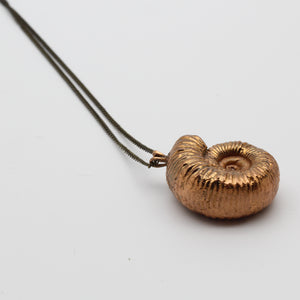 Ammonite Amulet