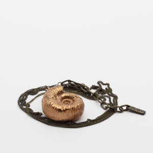 Ammonite Amulet