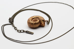 Ammonite Amulet