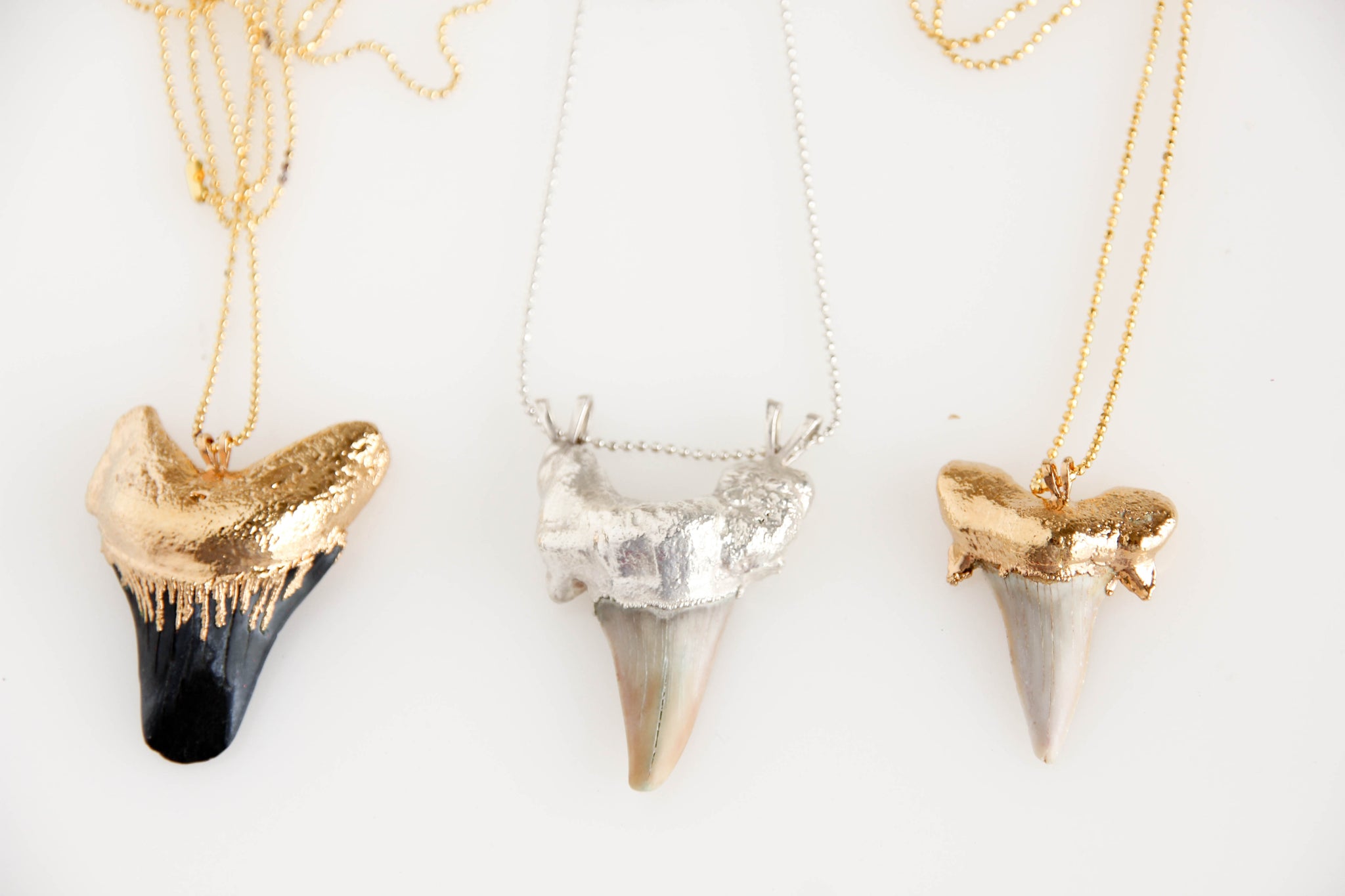 Gold dip Megalodon Shark's Tooth