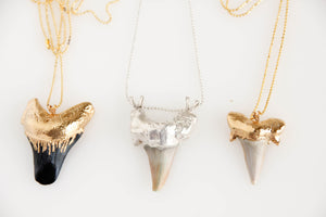 Shark's tooth Talisman pendant