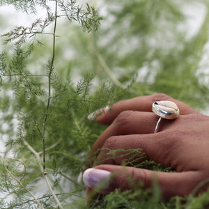 Raw Cowrie silver dipped Ring