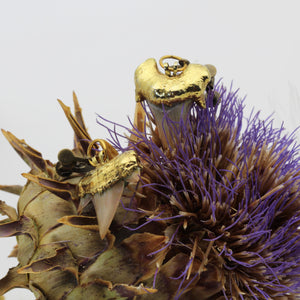 Gold dipped Shark's Tooth Fossil Earrings